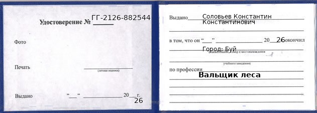 Образец удостоверения вальщика леса в Буе с печатью и подписью
