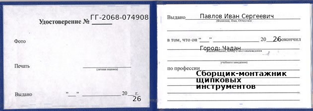 Образец удостоверения сборщика-монтажника щипковых инструментов в Чадане с печатью и подписью
