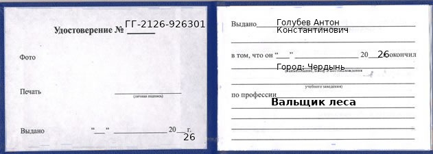 Образец удостоверения вальщика леса в Чердыни с печатью и подписью