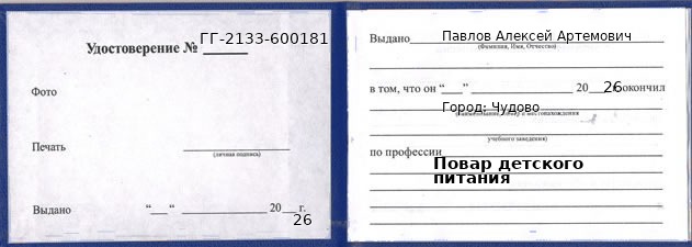 Образец удостоверения повара детского питания в Чудове с печатью и подписью