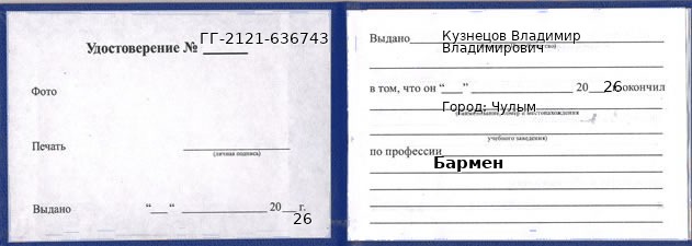 Образец удостоверения бармена в Чулыме с печатью и подписью