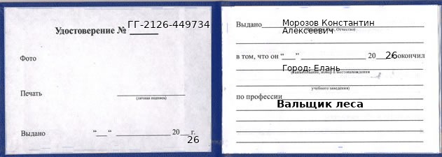 Образец удостоверения вальщика леса в Елани с печатью и подписью