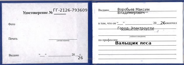 Образец удостоверения вальщика леса в Электроуглях с печатью и подписью