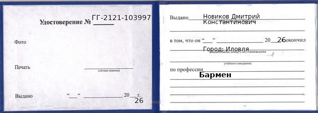 Образец удостоверения бармена в Иловле с печатью и подписью