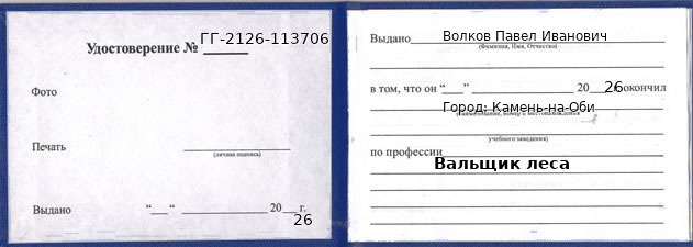 Образец удостоверения вальщика леса в Камне-на-Оби с печатью и подписью