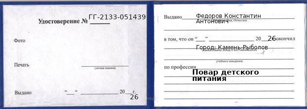 Образец удостоверения повара детского питания в Камне-Рыболове с печатью и подписью
