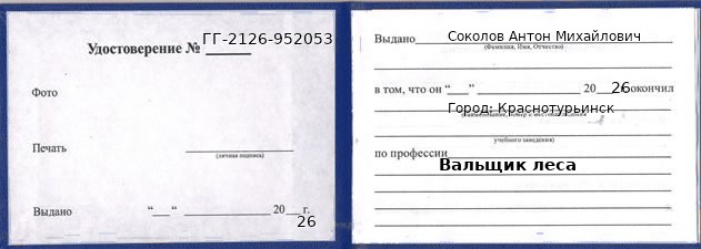 Удостоверение вальщика леса – образец, Краснотурьинск