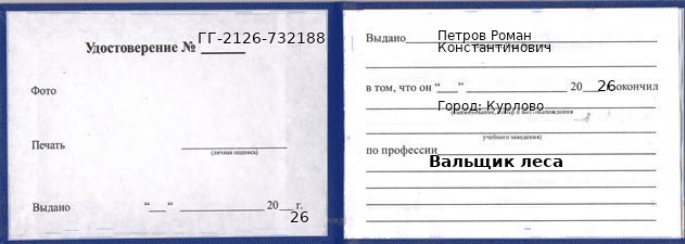 Образец удостоверения вальщика леса в Курлово с печатью и подписью