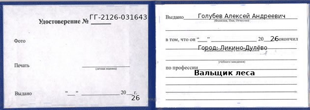 Образец удостоверения вальщика леса в Ликино-Дулево с печатью и подписью