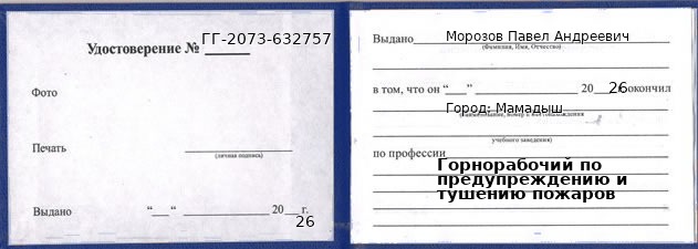 Образец удостоверения горнорабочего по предупреждению и тушению пожаров в Мамадыше с печатью и подписью