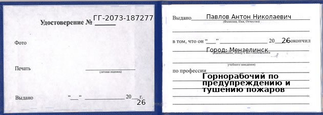 Образец удостоверения горнорабочего по предупреждению и тушению пожаров в Мензелинске с печатью и подписью