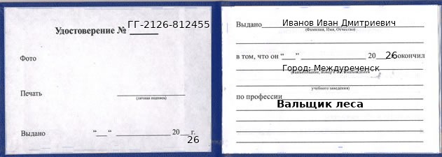 Образец удостоверения вальщика леса в Междуреченске с печатью и подписью