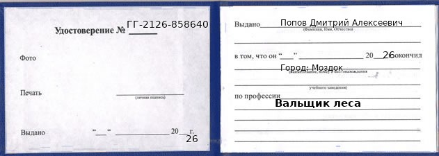 Образец удостоверения вальщика леса в Моздоке с печатью и подписью
