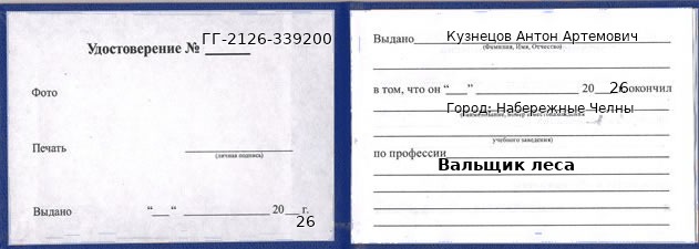 Образец удостоверения вальщика леса в Набережных Челнах с печатью и подписью