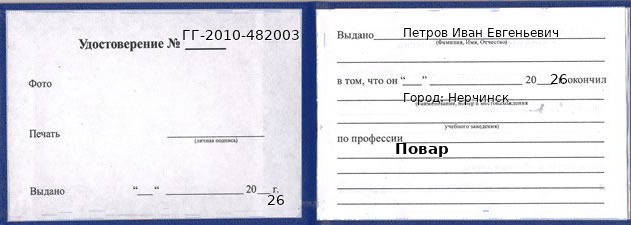 Образец удостоверения повара в Нерчинске с печатью и подписью