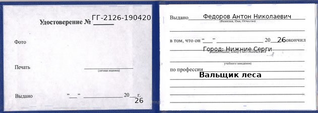 Образец удостоверения вальщика леса в Нижние Сергах с печатью и подписью