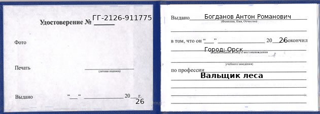 Образец удостоверения вальщика леса в Орске с печатью и подписью