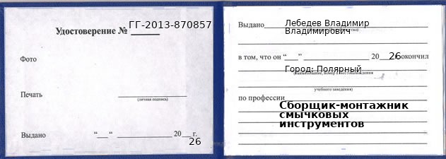 Образец удостоверения сборщика-монтажника смычковых инструментов в Полярном с печатью и подписью
