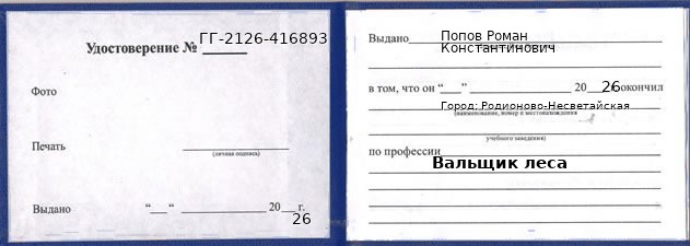 Образец удостоверения вальщика леса в Родионове-Несветайской с печатью и подписью