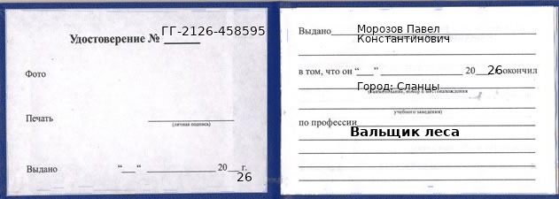 Образец удостоверения вальщика леса в Сланцах с печатью и подписью