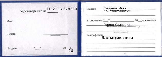 Образец удостоверения вальщика леса в Славянке с печатью и подписью
