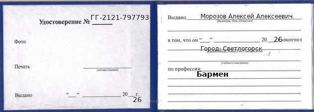 Образец удостоверения бармена в Светлогорске с печатью и подписью