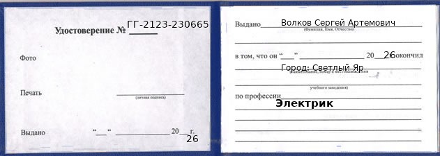 Образец удостоверения электрика в Светлом Яре с печатью и подписью