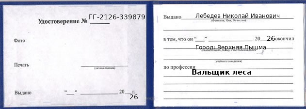 Образец удостоверения вальщика леса в Верхней Пышме с печатью и подписью