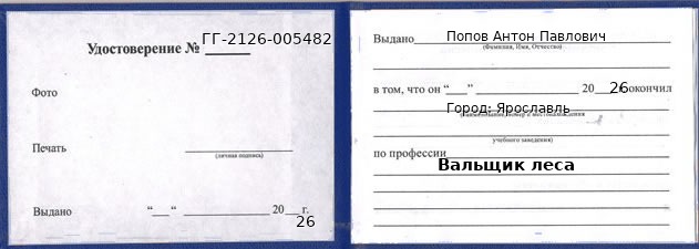 Образец удостоверения вальщика леса в Ярославле с печатью и подписью